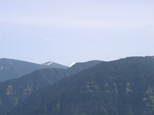 4.30.06 Hamilton Mountain 042 